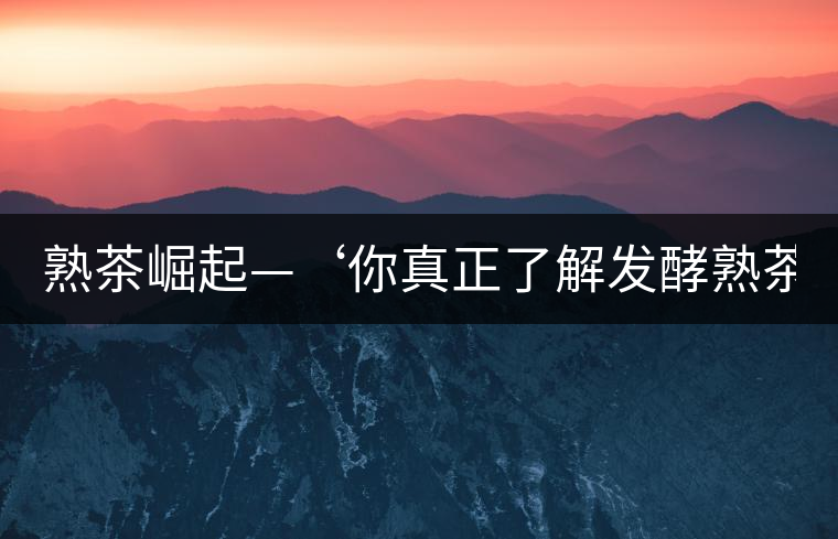 熟茶崛起—‘你真正了解發(fā)酵熟茶？’