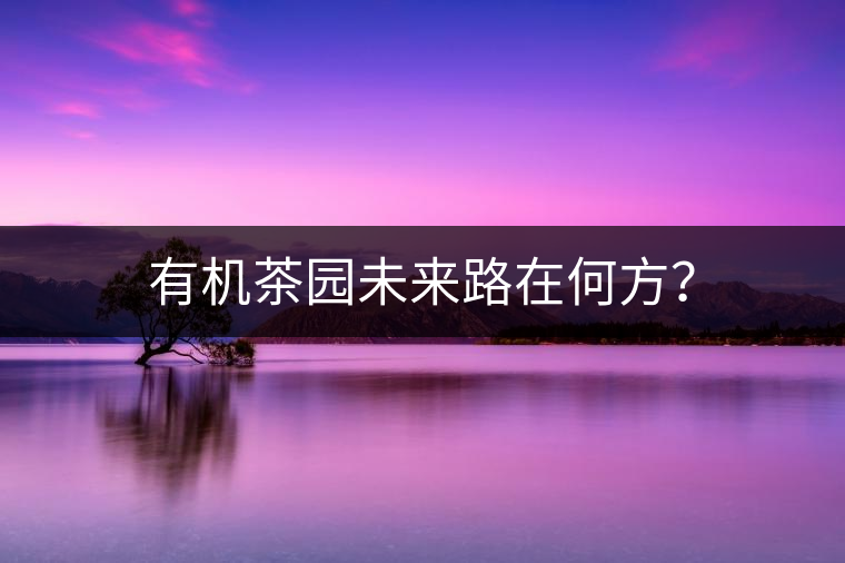 有機(jī)茶園未來(lái)路在何方？