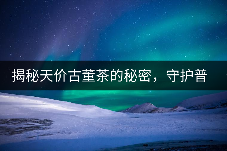 揭秘天價古董茶的秘密，守護普洱茶的健康發(fā)展