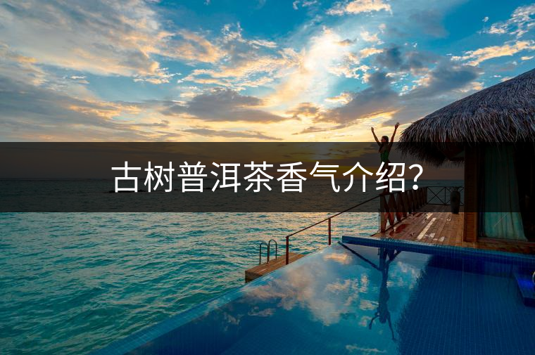 古樹(shù)普洱茶香氣介紹？