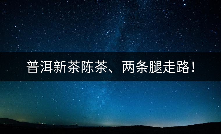 普洱新茶陳茶、兩條腿走路！