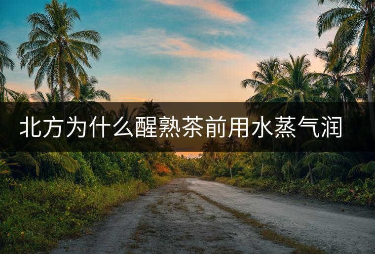 北方為什么醒熟茶前用水蒸氣潤一下？有何用處？