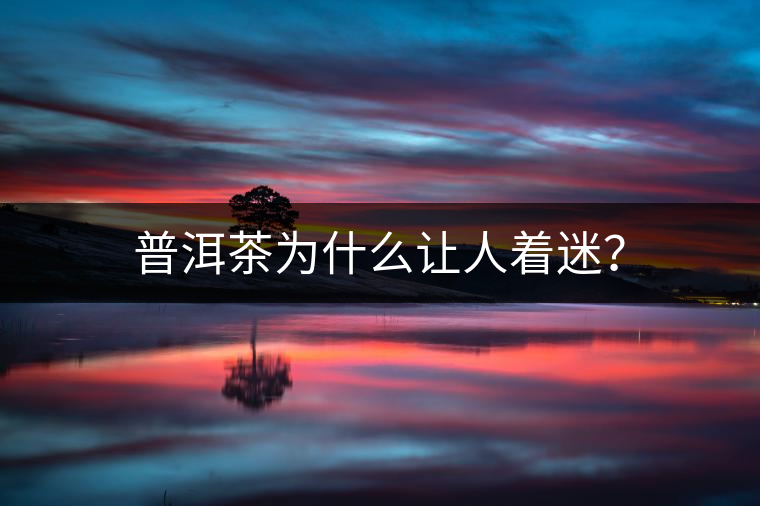 普洱茶為什么讓人著迷？