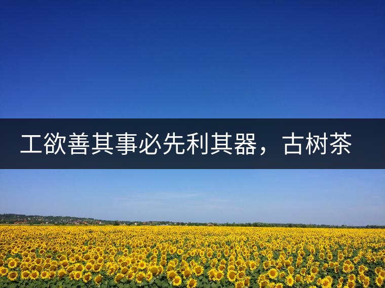 工欲善其事必先利其器，古樹茶用什么茶器最好？