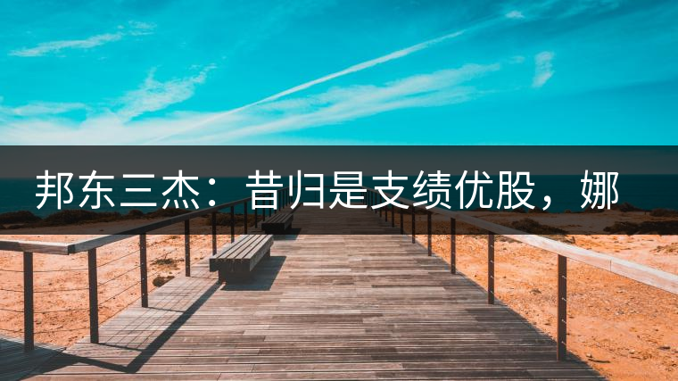 邦東三杰：昔歸是支績優(yōu)股，娜罕是支潛力股