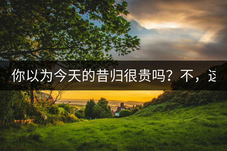 你以為今天的昔歸很貴嗎？不，這只是開始！