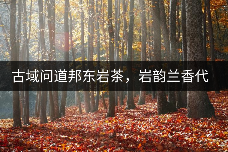 古域問(wèn)道邦東巖茶，巖韻蘭香代表邦東古樹(shù)茶特點(diǎn)