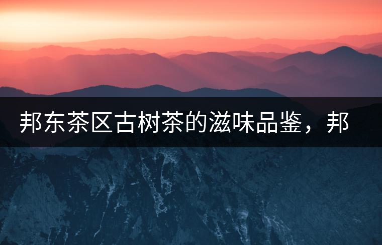 邦東茶區(qū)古樹茶的滋味品鑒，邦東普洱茶特點