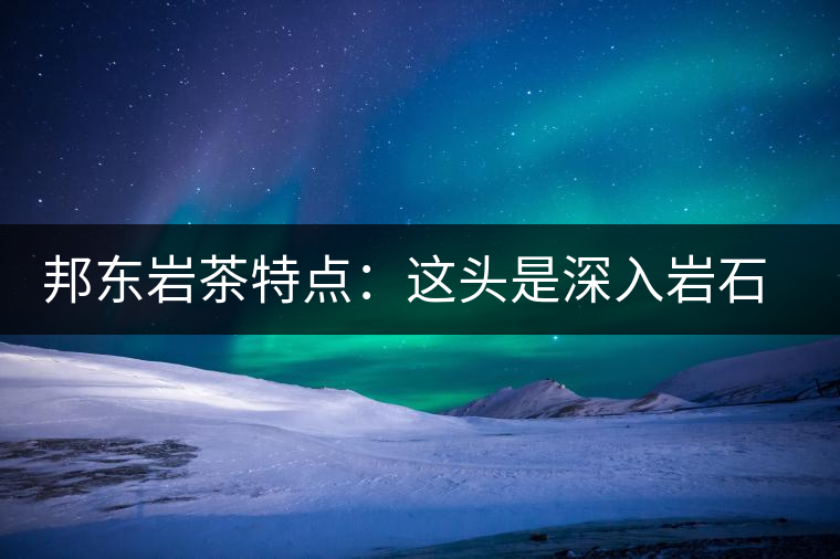邦東巖茶特點(diǎn)：這頭是深入巖石的根，那頭是臨風(fēng)飄香的古韻