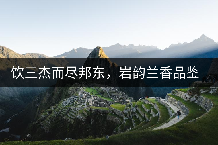 飲三杰而盡邦東，巖韻蘭香品鑒：生于山石上，韻味正當(dāng)