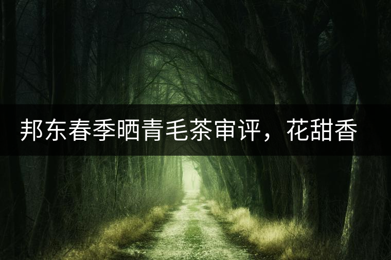 邦東春季曬青毛茶審評，花甜香高揚甘爽潤滑