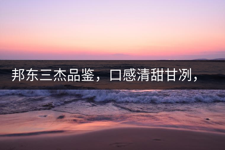 邦東三杰品鑒，口感清甜甘冽，香氣富于變化