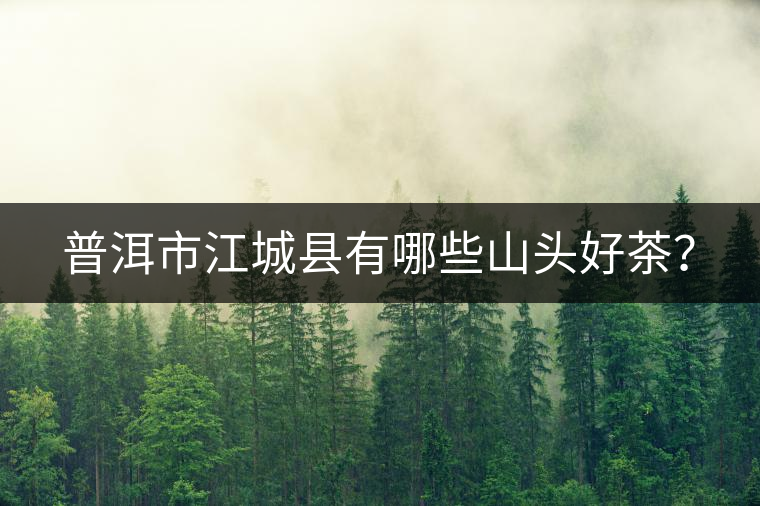 普洱市江城縣有哪些山頭好茶？
