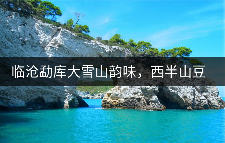 臨滄勐庫大雪山韻味，西半山豆腐寨古樹茶