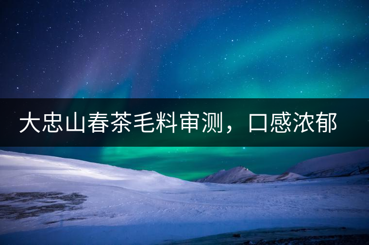 大忠山春茶毛料審測(cè)，口感濃郁花香與甜潤(rùn)口感相得益彰