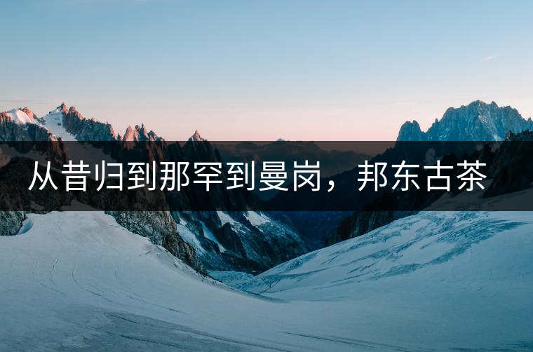 從昔歸到那罕到曼崗，邦東古茶藏著一條規(guī)律！