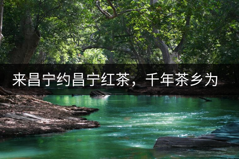 來昌寧約昌寧紅茶，千年茶鄉(xiāng)為您開啟生態(tài)之旅