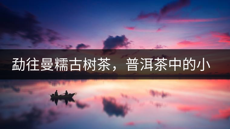 勐往曼糯古樹茶，普洱茶中的小班章