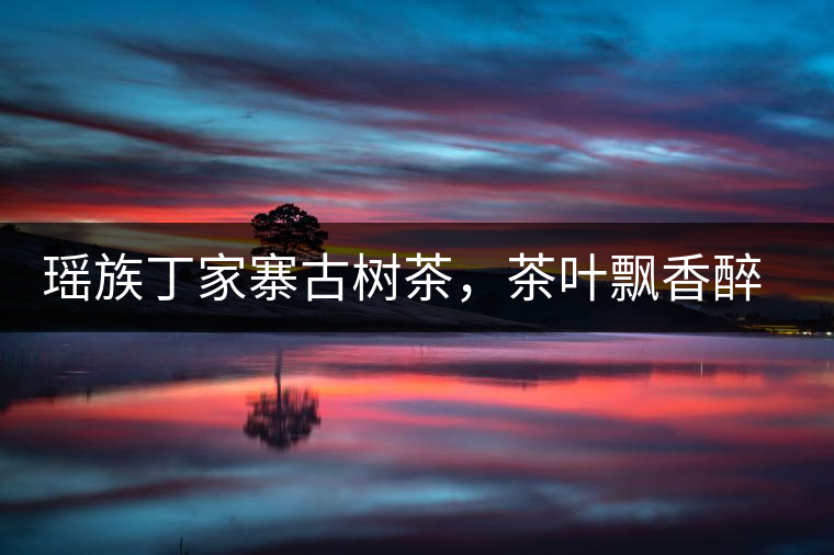 瑤族丁家寨古樹茶，茶葉飄香醉萬家