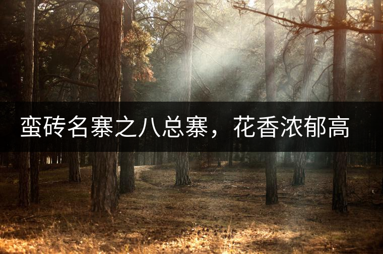 蠻磚名寨之八總寨，花香濃郁高揚(yáng)