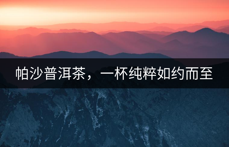 帕沙普洱茶，一杯純粹如約而至