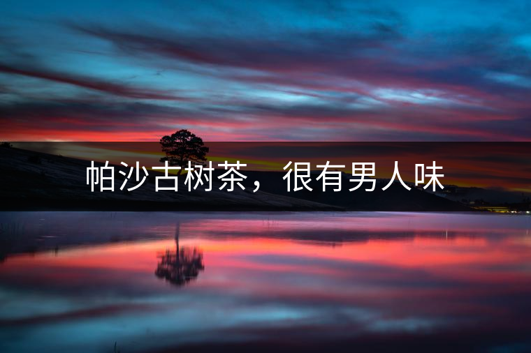 帕沙古樹茶，很有男人味