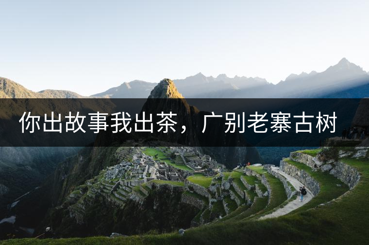 你出故事我出茶，廣別老寨古樹妖茶