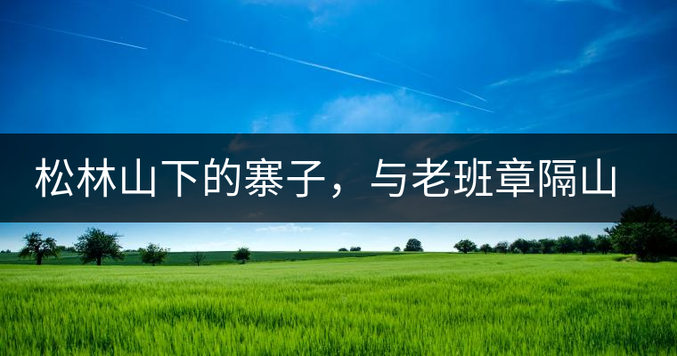 松林山下的寨子，與老班章隔山相望的廣別老寨