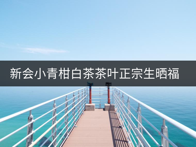 新會(huì)小青柑白茶茶葉正宗生曬福鼎貢眉龍珠老白茶君宜散裝罐裝