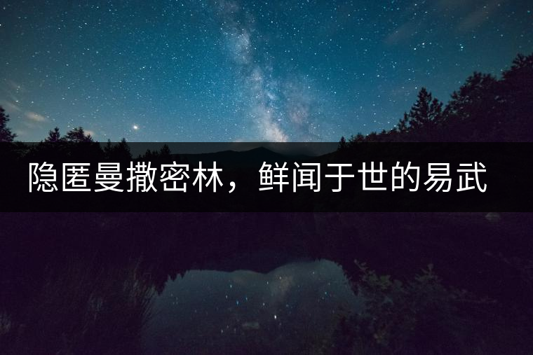 隱匿曼撒密林，鮮聞于世的易武一扇磨古樹茶