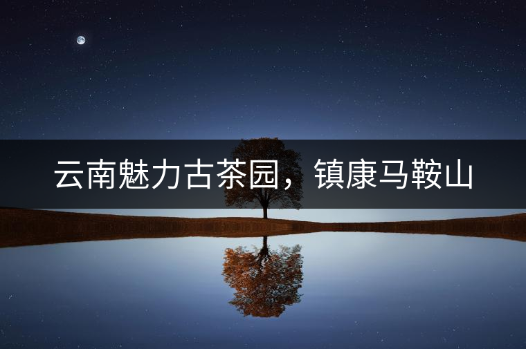 云南魅力古茶園，鎮(zhèn)康馬鞍山