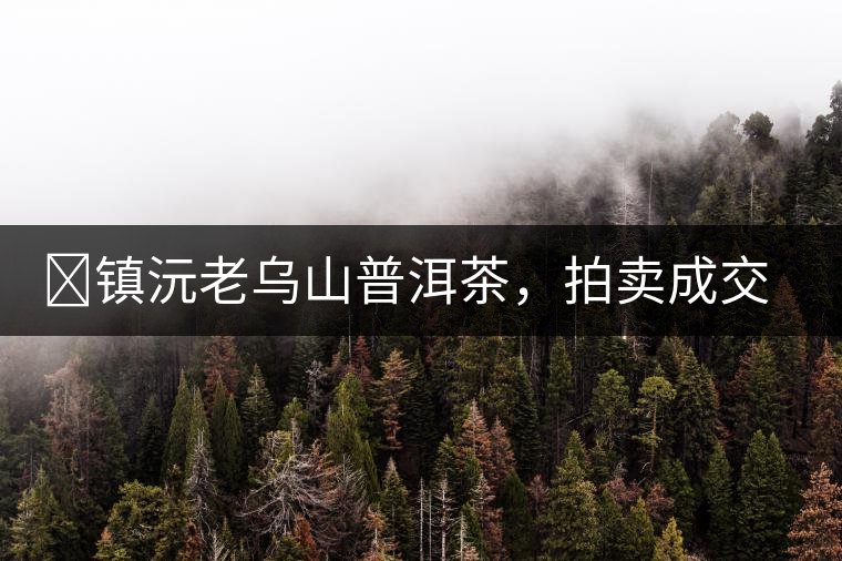 ?鎮(zhèn)沅老烏山普洱茶，拍賣成交價(jià)再創(chuàng)新高