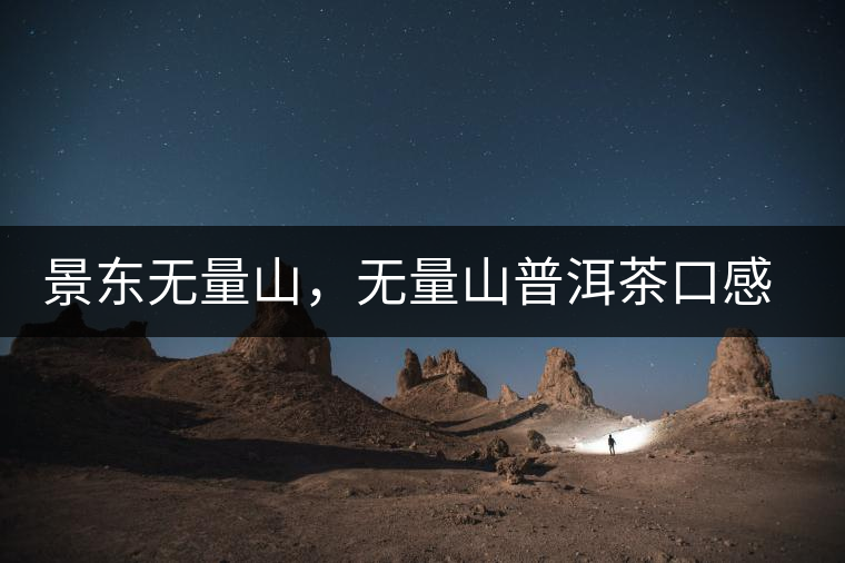 景東無量山，無量山普洱茶口感特點