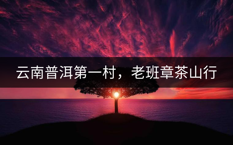 云南普洱第一村，老班章茶山行
