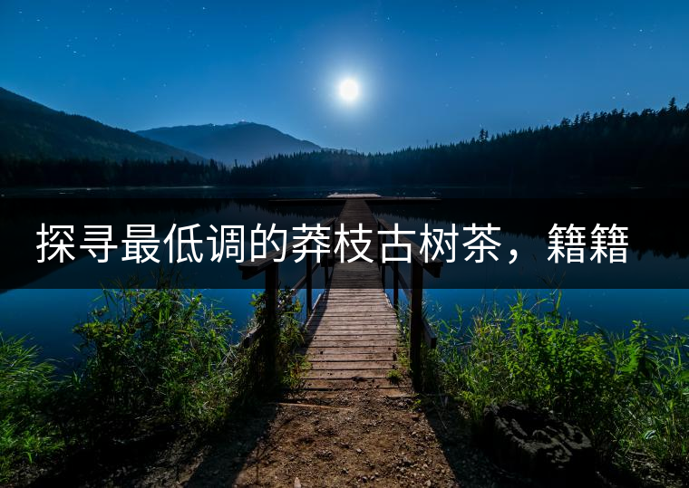 探尋最低調(diào)的莽枝古樹(shù)茶，籍籍無(wú)名出好茶