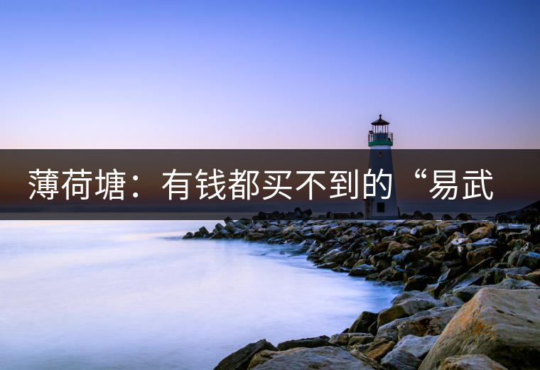 薄荷塘：有錢都買不到的“易武貴胄”，卓爾不群，無茶可及