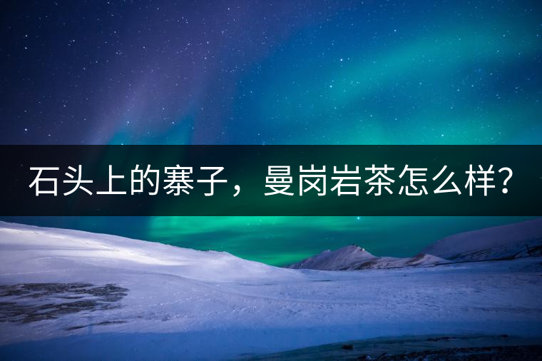 石頭上的寨子，曼崗巖茶怎么樣？