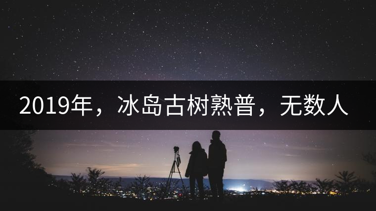 2019年，冰島古樹熟普，無數(shù)人在尋找