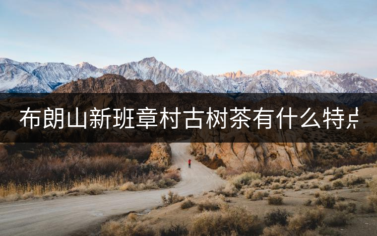 布朗山新班章村古樹茶有什么特點(diǎn)？