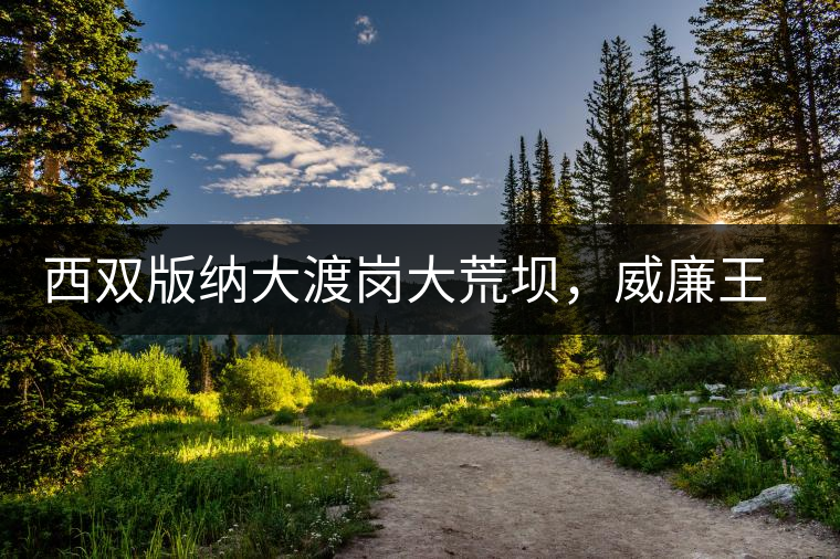 西雙版納大渡崗大荒壩，威廉王子曾經(jīng)到過的古樹茶山