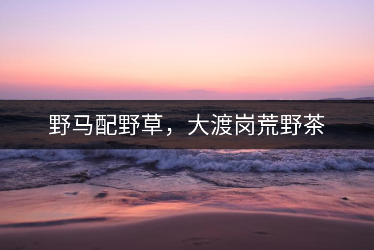 野馬配野草，大渡崗荒野茶