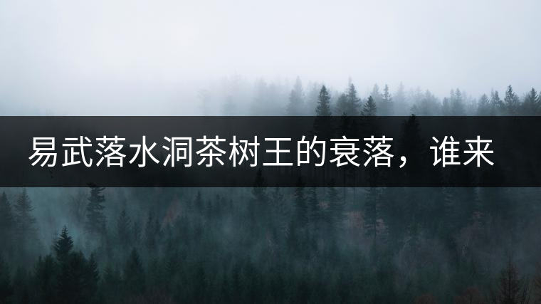 易武落水洞茶樹(shù)王的衰落，誰(shuí)來(lái)關(guān)注古樹(shù)茶？