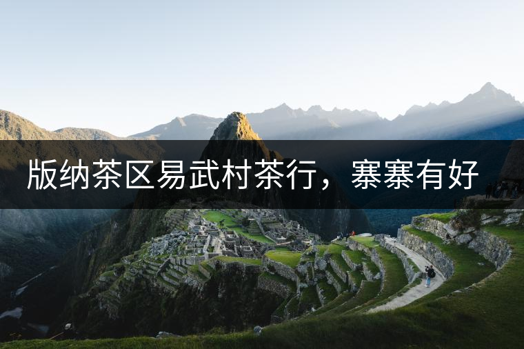 版納茶區(qū)易武村茶行，寨寨有好茶處處古茶香