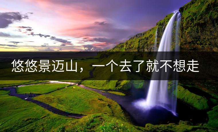 悠悠景邁山，一個去了就不想走的地方