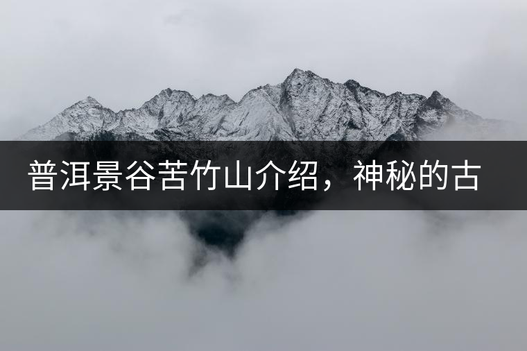 普洱景谷苦竹山介紹，神秘的古樹普洱茶原產(chǎn)地