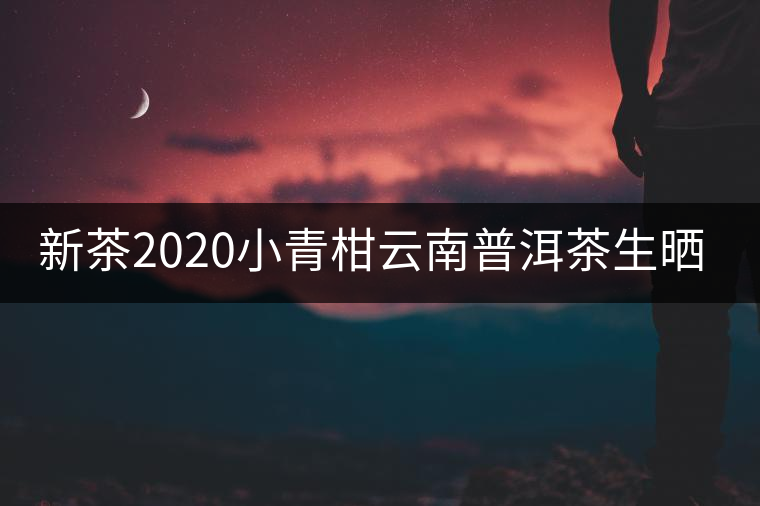 新茶2020小青柑云南普洱茶生曬鮮當(dāng)季正宗新會(huì)糯米香散一罐裝250g