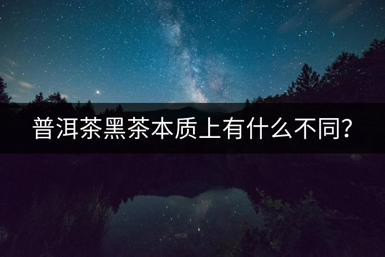 普洱茶黑茶本質(zhì)上有什么不同？