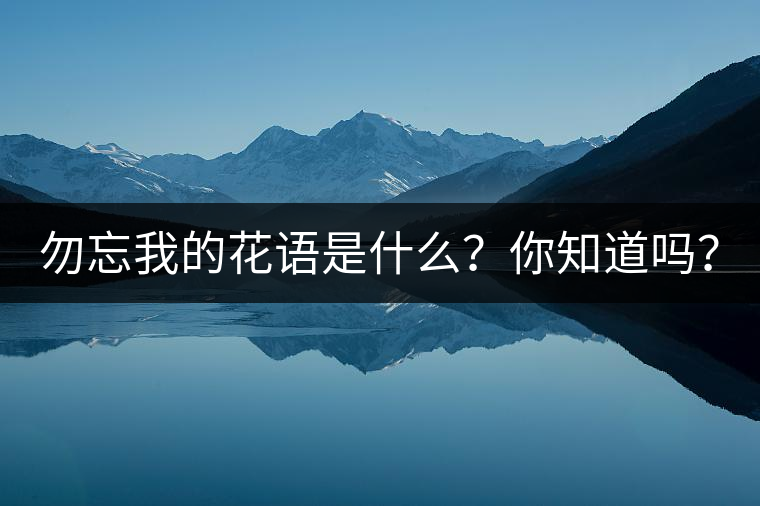 勿忘我的花語是什么？你知道嗎？