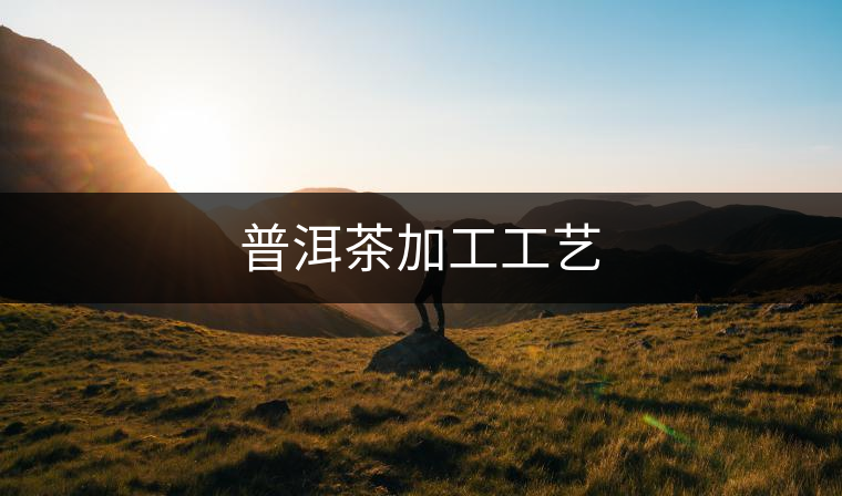 普洱茶加工工藝