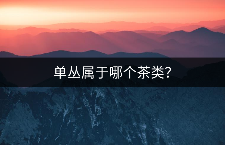 單叢屬于哪個(gè)茶類？